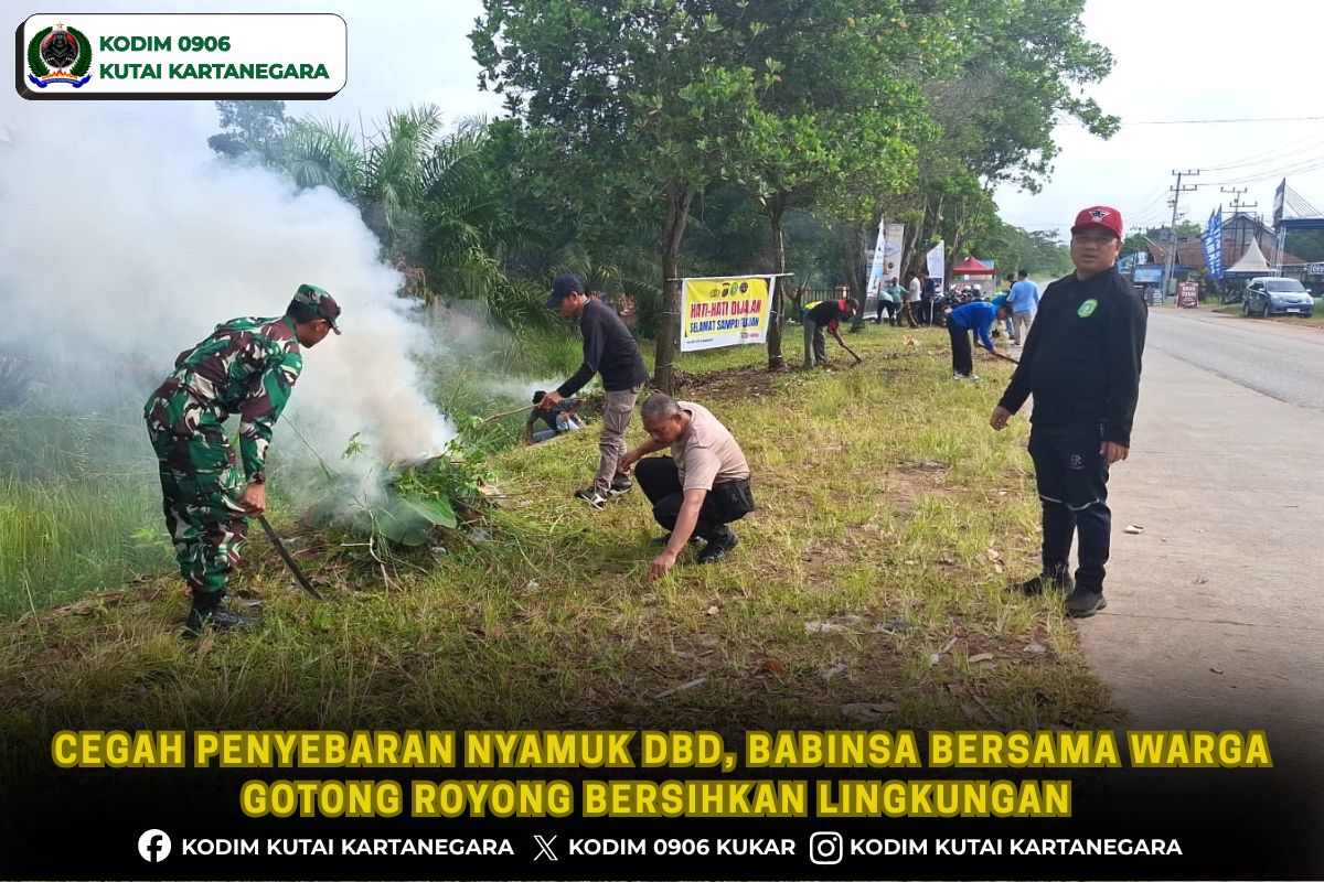 Cegah Penyebaran Nyamuk DBD, Babinsa Bersama Warga Gotong Royong Bersihkan Lingkungan