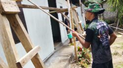 Personel TMMD Ke-127 Kodim 1514/Morotai Laksanakan Pengecatan RTLH di Desa Mandiri