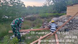 Peduli Warga Binaan, Babinsa Kodim 1505/Tidore Bantu Dirikan Tiang Rumah