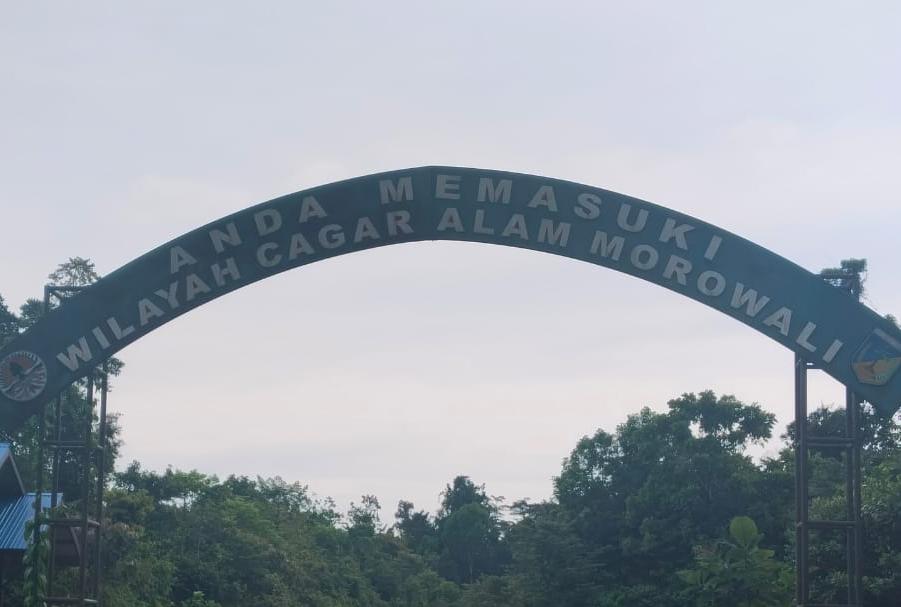 Transparansi Dipertanyakan, BKSDA Morut Diduga Tebang Pilih dalam Penindakan Transparansi Dipertanyakan, BKSDA Morut Diduga Tebang Pilih dalam Penindakan