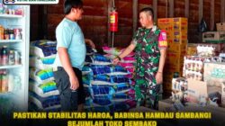Pastikan Stabilitas Harga, Babinsa Hambau Sambangi Sejumlah Toko Sembako