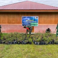 Kodim 1714/Puncak Jaya Bersama Rakyat Tanam Bibit Cemara Sebagai Generasi Mendatang Untuk Kabupaten Puncak Jaya