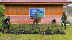 Kodim 1714/Puncak Jaya Bersama Rakyat Tanam Bibit Cemara Sebagai Generasi Mendatang Untuk Kabupaten Puncak Jaya