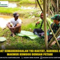 Pererat Kemanunggalan TNI-Rakyat, Babinsa Cipari Makmur Komsos dengan Petani