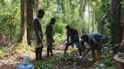 Progres TMMD ke-128 Kodim 1801/Manokwari: Satgas Fokus Selesaikan Pembuatan Kusen dan Pondasi Rumah Warga