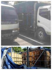 Modus Mafia BBM: Truk Dimodifikasi dan Drum Plastik untuk Penimbunan