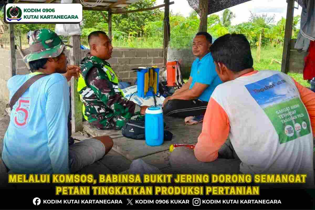 Melalui Komsos, Babinsa Bukit Jering Dorong Semangat Petani Tingkatkan Produksi Pertanian Melalui Komsos, Babinsa Bukit Jering Dorong Semangat Petani Tingkatkan Produksi Pertanian