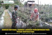 Berikan Motivasi, Babinsa Lakukan Pendampingan Pada Petani Hortikultura