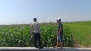 Ketahanan Pangan Jadi Prioritas, Polisi Perkuat Pendampingan Petani di Kademangan