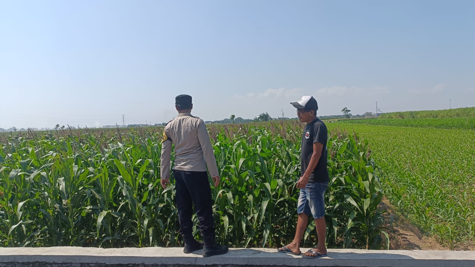 Ketahanan Pangan Jadi Prioritas, Polisi Perkuat Pendampingan Petani di Kademangan