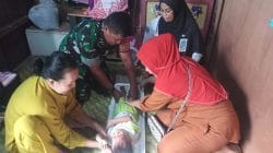 Upaya Cegah Stunting, Babinsa Hadiri dan Dampingi Kegiatan Posyandu