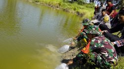 Kolaborasi Perkuat Ketahanan Pangan, TMMD 129 Bojonegoro Tabur 11 Ribu Benih Ikan