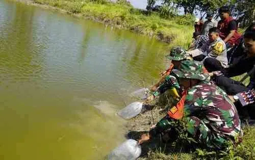 Kolaborasi Perkuat Ketahanan Pangan, TMMD 129 Bojonegoro Tabur 11 Ribu Benih Ikan