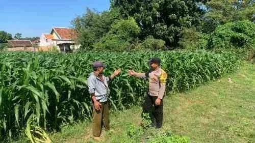 Polsek Kademangan Bangun Kolaborasi dengan Petani, Ketahanan Pangan Jadi Prioritas