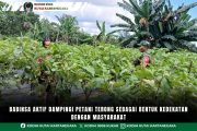Babinsa Aktif Dampingi Petani Terong Sebagai Bentuk Kedekatan Dengan Masyarakat