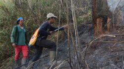Penutupan Jalur Pendakian Gunung Semeru Akibat Kebakaran Hutan
