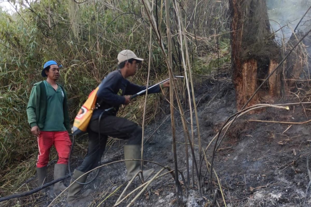 Penutupan Jalur Pendakian Gunung Semeru Akibat Kebakaran Hutan Penutupan Jalur Pendakian Gunung Semeru Akibat Kebakaran Hutan