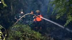 Api Belum Usai Perjuangan Berlanjut, Satgas Irigasi Lanud Sjamsudin Noor Terus Perkuat Upaya Padamkan Karhutla Kalsel Optimalkan Air Hingga Dinginkan Lahan Gambut