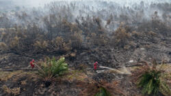 Kebakaran Hutan di Ogan Komering Ilir: 15 Hari Upaya Pemadaman