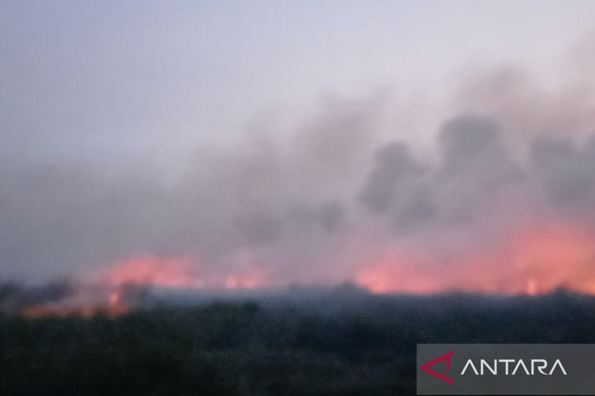 Strategi Pemadaman Kebakaran di Taman Nasional Berbak Sembilang Strategi Pemadaman Kebakaran di Taman Nasional Berbak Sembilang