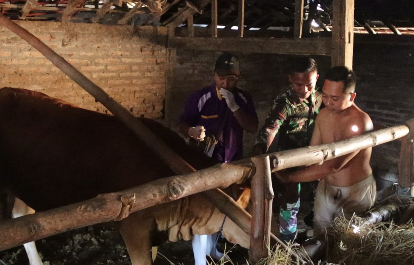 Melampaui Target: TMMD 129 Bojonegoro dan Disnakkan Sentuh Nadi Ekonomi Warga Lewat Layanan Kesehatan Hewan Melampaui Target: TMMD 129 Bojonegoro dan Disnakkan Sentuh Nadi Ekonomi Warga Lewat Layanan Kesehatan Hewan