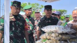 Wajah Baru UMKM Desa Kesongo, Sentuhan TMMD 129 Bojonegoro Dorong Ekonomi Mandiri
