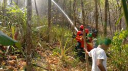 Personil Koramil 1505-03/Maba Berjibaku Padamkan Kebakaran Hutan di Puncak Gunung.