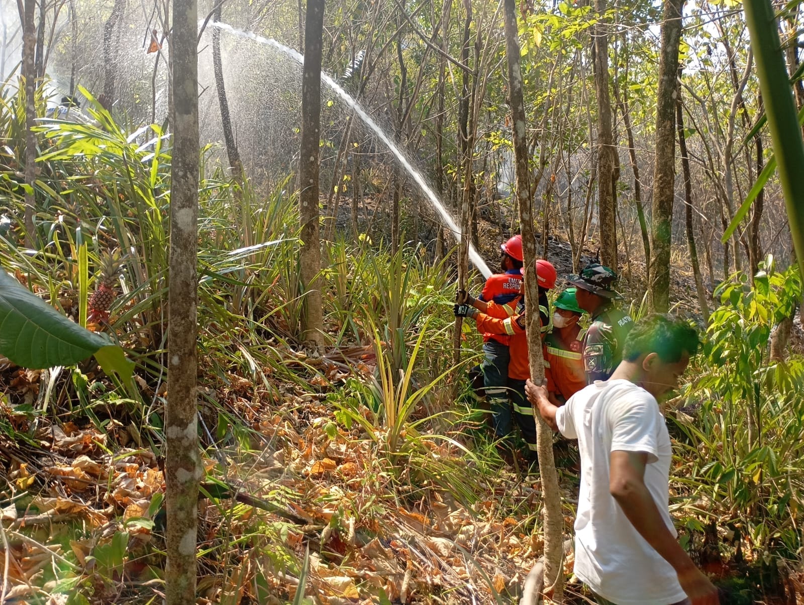 Personil Koramil 1505-03/Maba Berjibaku Padamkan Kebakaran Hutan di Puncak Gunung.