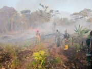 Gerak Cepat TNI di Tengah Kepulan Asap, Karhutla Berhasil Dipadamkan