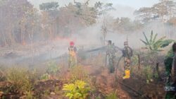 Gerak Cepat TNI di Tengah Kepulan Asap, Karhutla Berhasil Dipadamkan