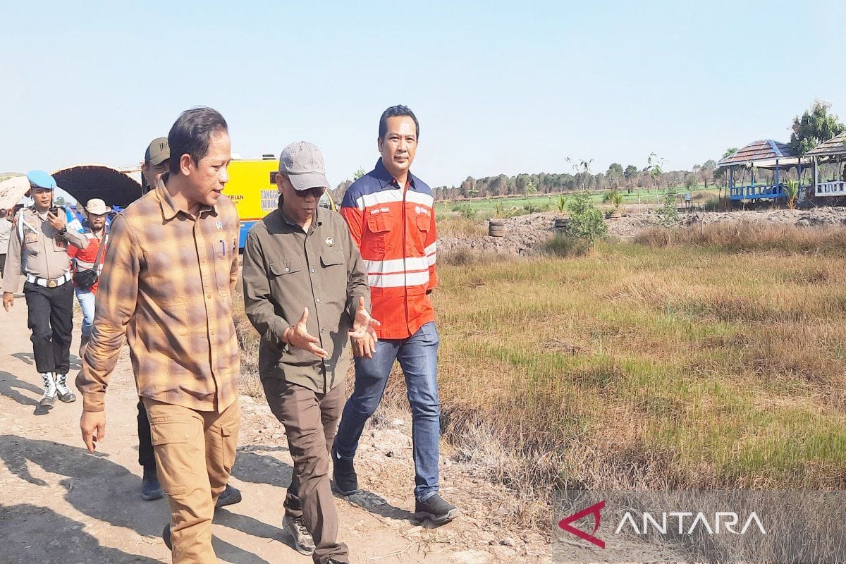 Perbaikan Tata Ruang untuk Cegah Karhutla Perbaikan Tata Ruang untuk Cegah Karhutla