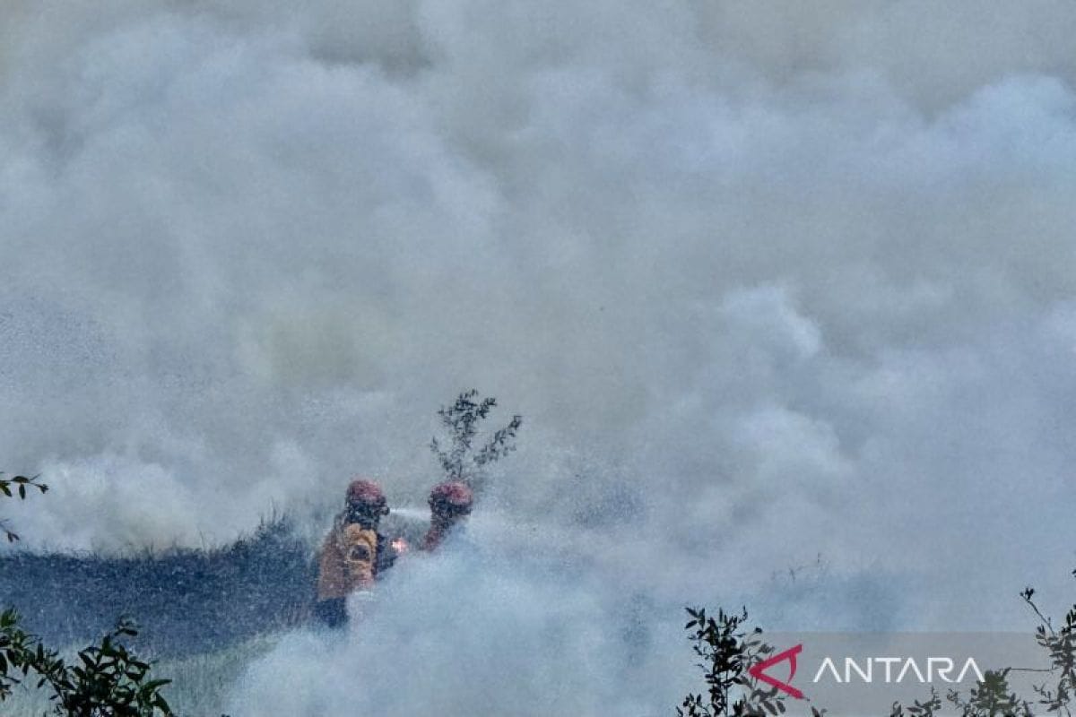 Kenaikan Kasus ISPA di Kalimantan Selatan di Tengah Kebakaran Hutan Kenaikan Kasus ISPA di Kalimantan Selatan di Tengah Kebakaran Hutan