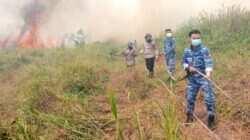 Komandan Lanud Sjamsudin Noor Pimpin Langsung Pemadaman Kebakaran Hutan dan Lahan di Kalimantan Selatan