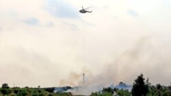 Komandan Lanud Sjamsudin Noor Dampingi Pangkodau II Tinjau Langsung Penanggulangan Karhutla di Kalimantan Selatan