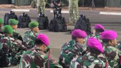 TNI Kerahkan Satgas Khusus Percepat Penanganan Karhutla di Riau