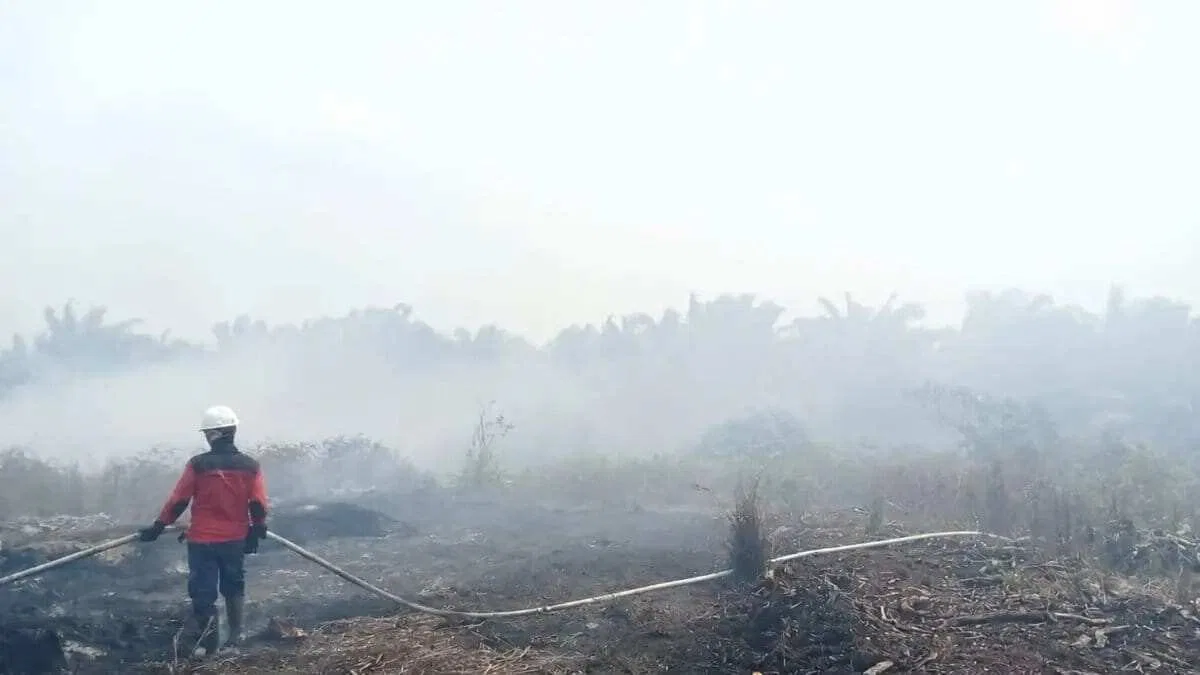 Menghadapi Karhutla di Kalimantan: Lebih dari Sekedar Tepung Ubi