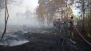 Potensi Hujan di Riau untuk Percepatan Penanganan Karhutla