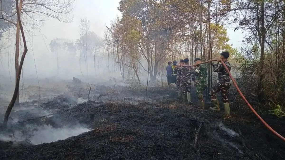 Potensi Hujan di Riau untuk Percepatan Penanganan Karhutla