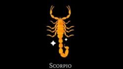 Kehidupan Zodiak Scorpio di Awal Pekan