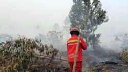 Pemahaman Tentang Penerapan Tanggung Jawab Mutlak Dalam Penanganan Karhutla
