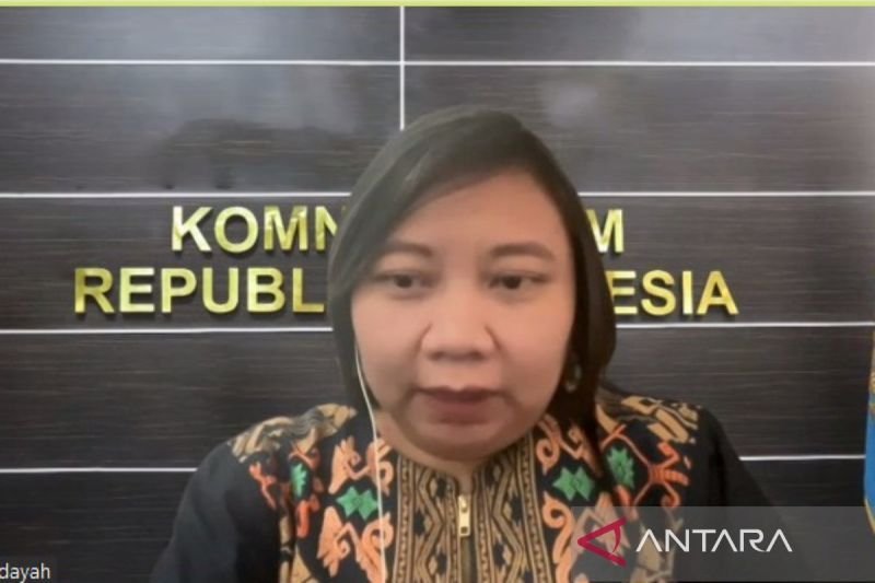 Penyelidikan Proyustisia Peristiwa Kuda Tuli oleh Komnas HAM