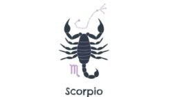 Peluang Keuangan Zodiak Scorpio: Pertimbangan yang Matang