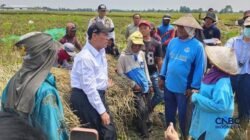 Kebijakan Baru untuk Buruh Tani: Akses Bantuan Alsintan Resmi Diberlakukan