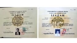 Mengungkap Sejarah Font Times New Roman dalam Skripsi Jokowi