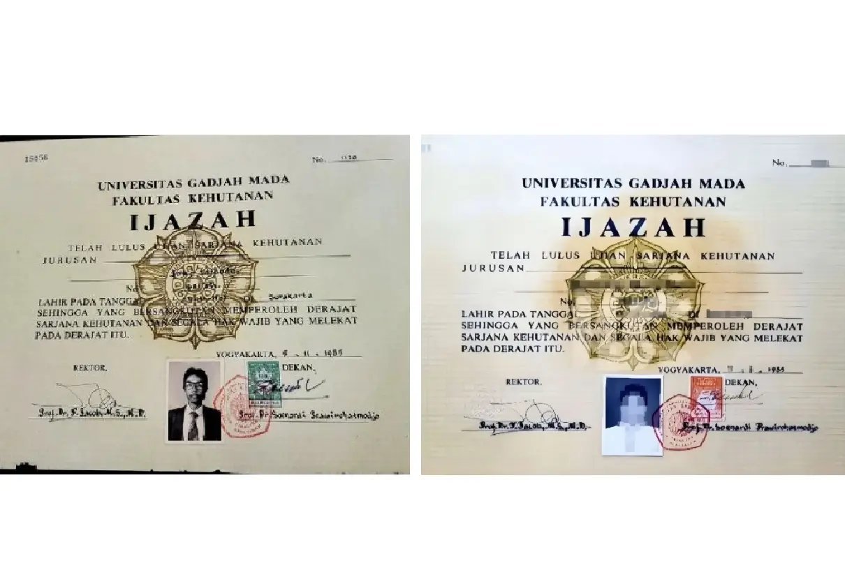 Mengungkap Sejarah Font Times New Roman dalam Skripsi Jokowi Mengungkap Sejarah Font Times New Roman dalam Skripsi Jokowi