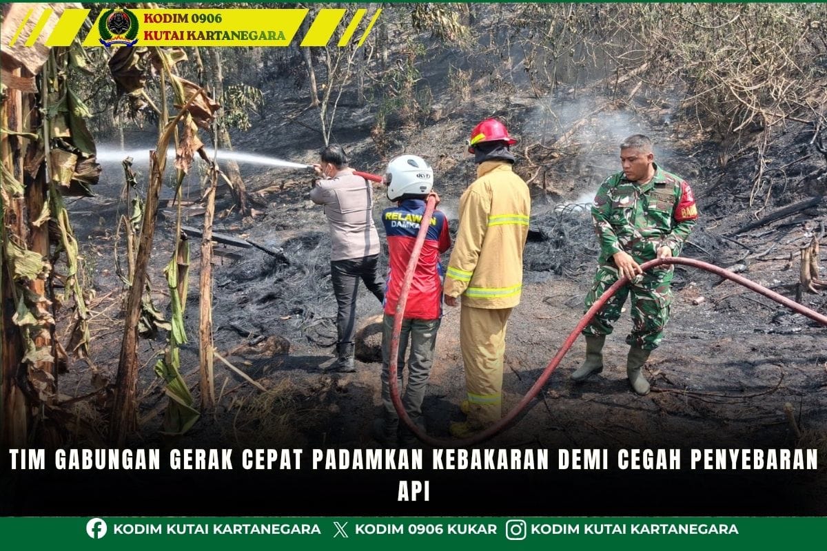 Tim Gabungan Gerak Cepat Padamkan Kebakaran Demi Cegah Penyebaran Api Tim Gabungan Gerak Cepat Padamkan Kebakaran Demi Cegah Penyebaran Api
