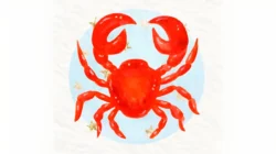 Analisis Ramalan Zodiak Cancer pada 28 Agustus 2026