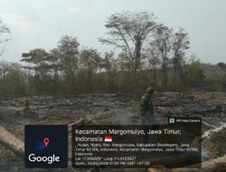 Aksi Cepat Tanggap! Babinsa Margomulyo Sisir Bekas Karhutla, Pastikan Api Benar-Benar Padam