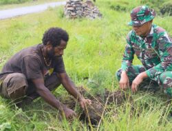 Sambut HUT Ke-81 TNI Tahun 2026, Kodim 1714/Puncak Jaya Bersama Rakyat Menanam Pohon Demi Masa Depan Baik