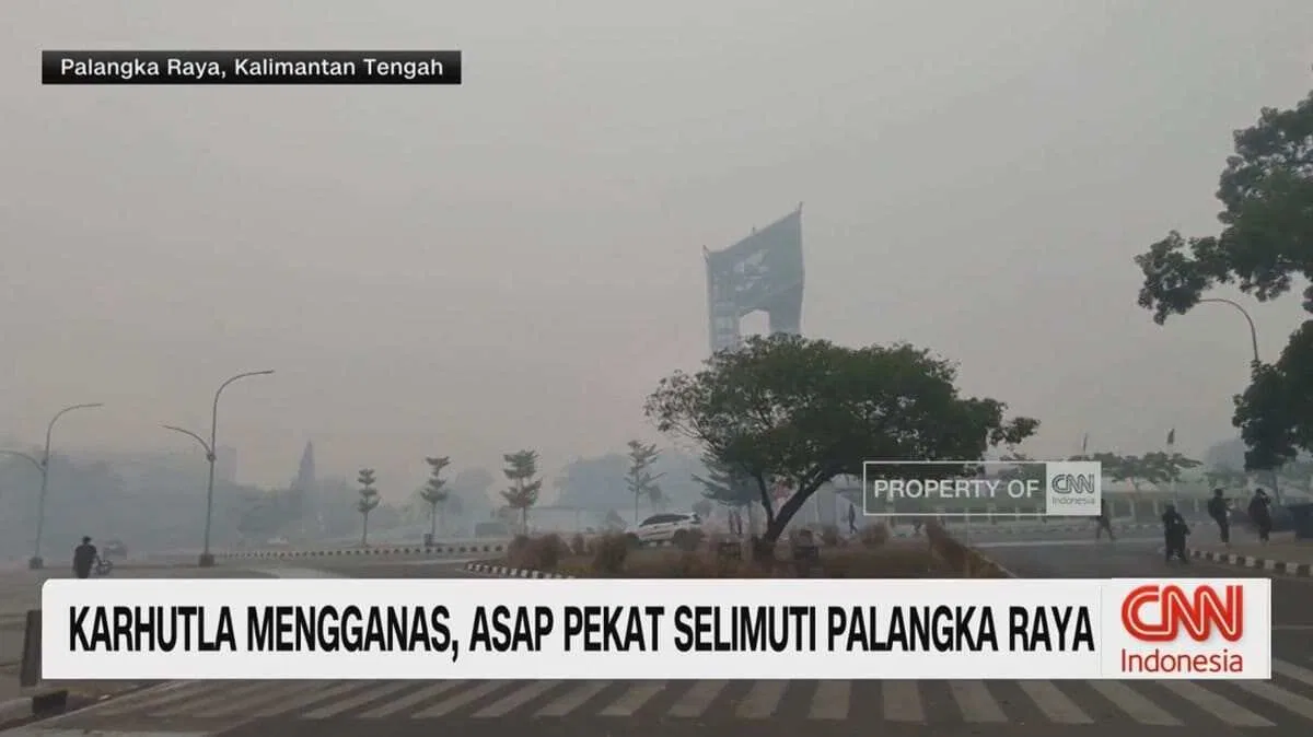 Kebakaran Hutan dan Asap Pekat di Palangka Raya